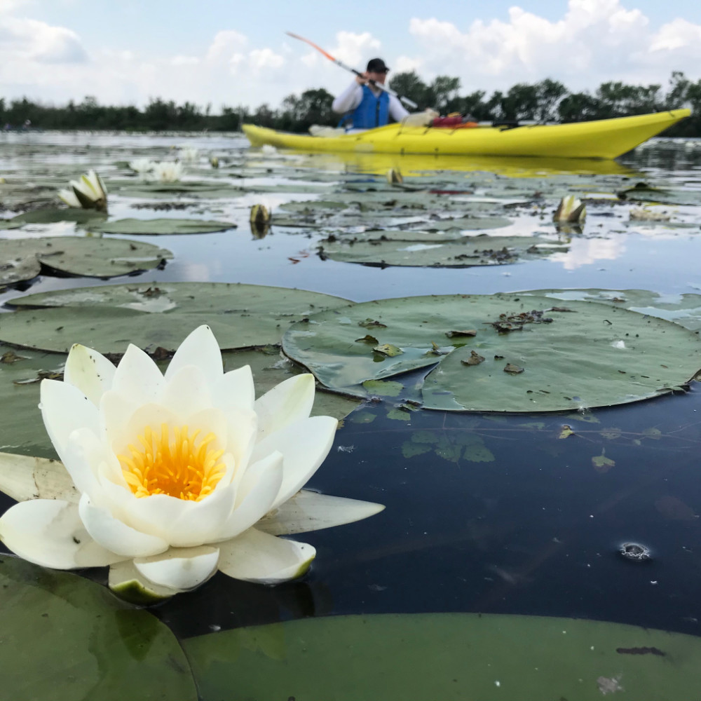 Tisza-tó expedíció 6
