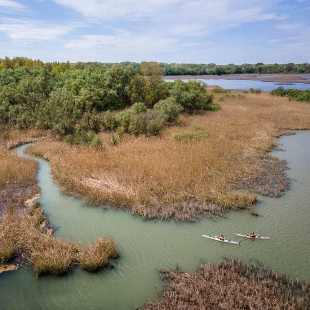 Kajaktúra a Tisza-tavon 2